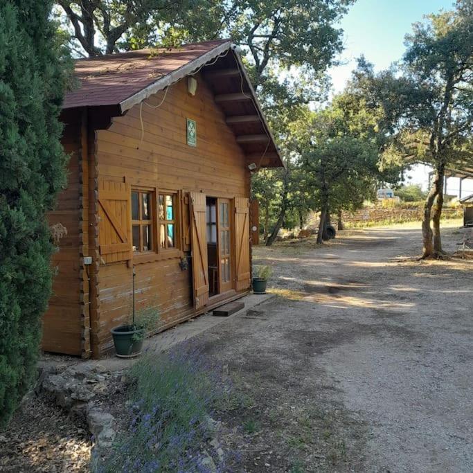 La Cabane En Bois Tourves Exterior foto